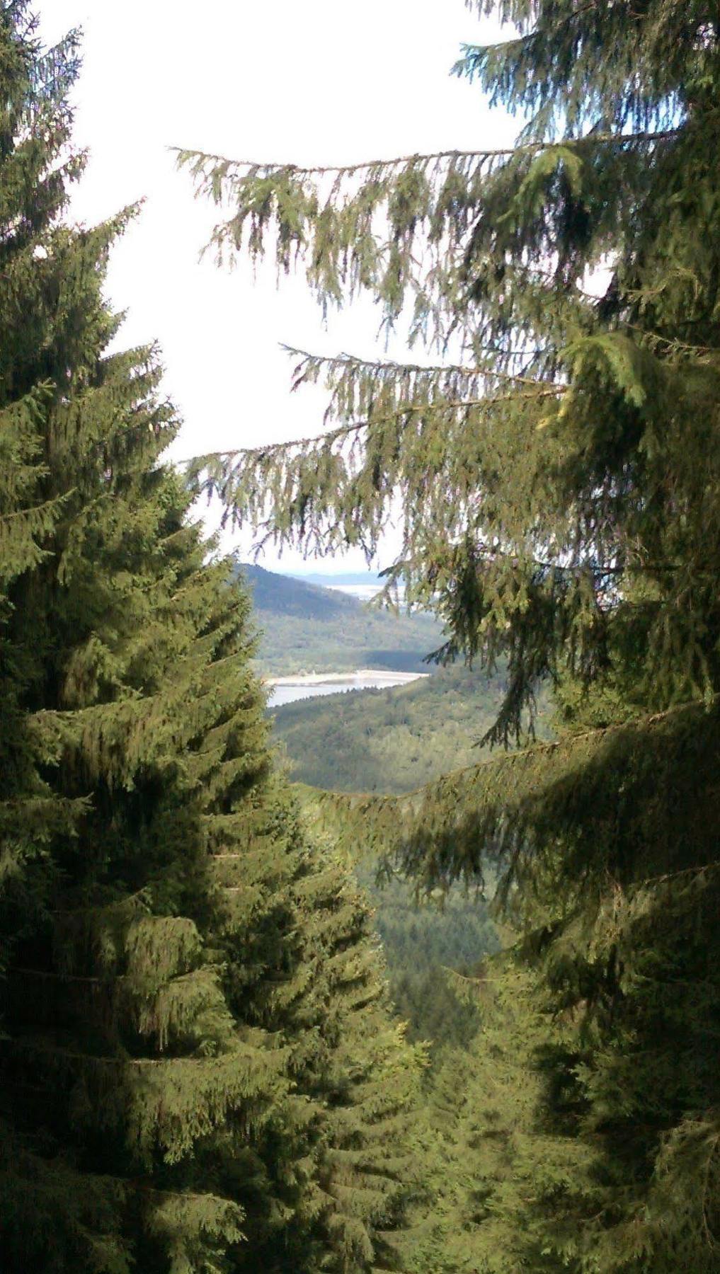 Hotel Berghof Am See Lautenthal Exterior foto