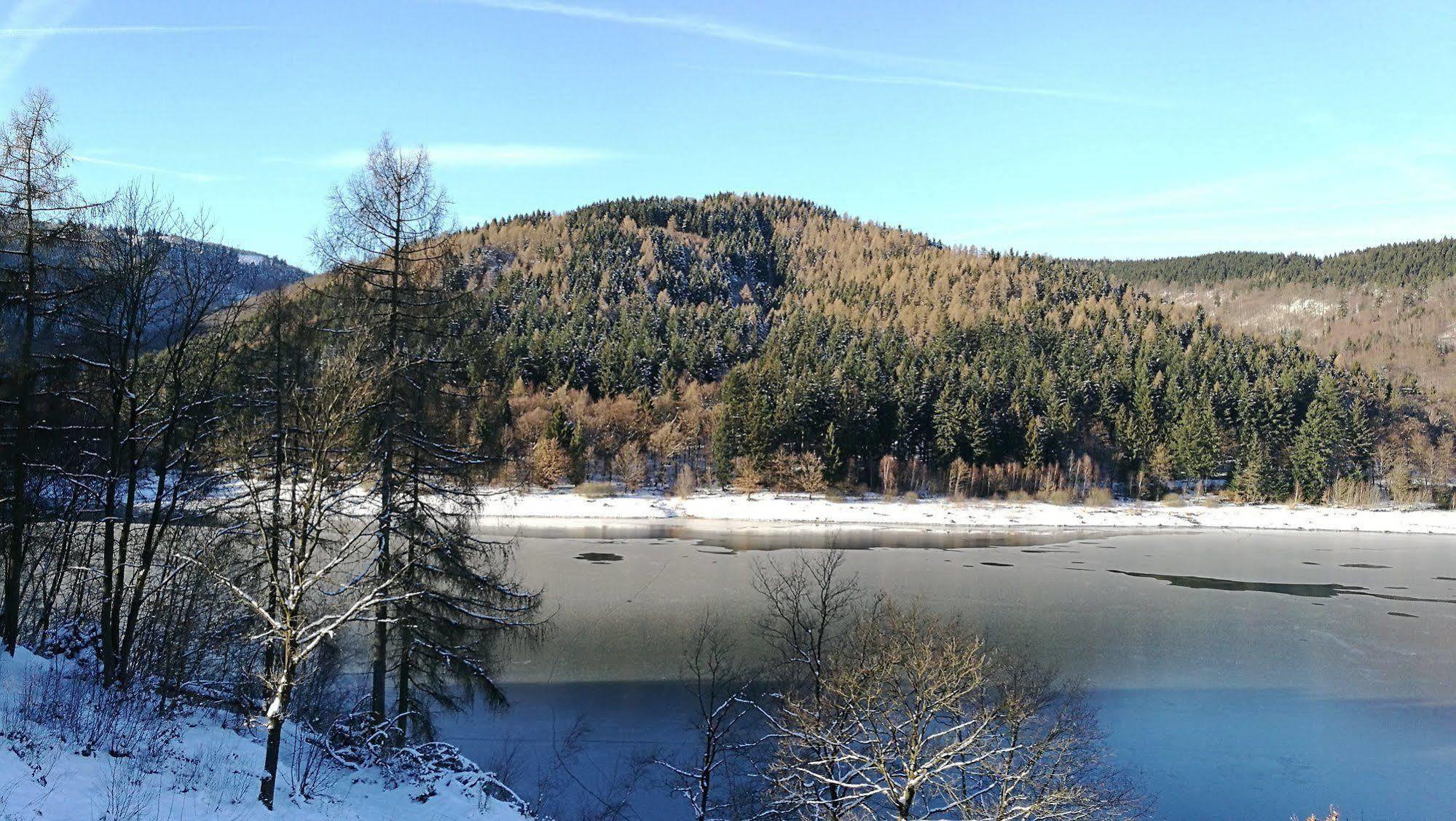 Hotel Berghof Am See Lautenthal Exterior foto